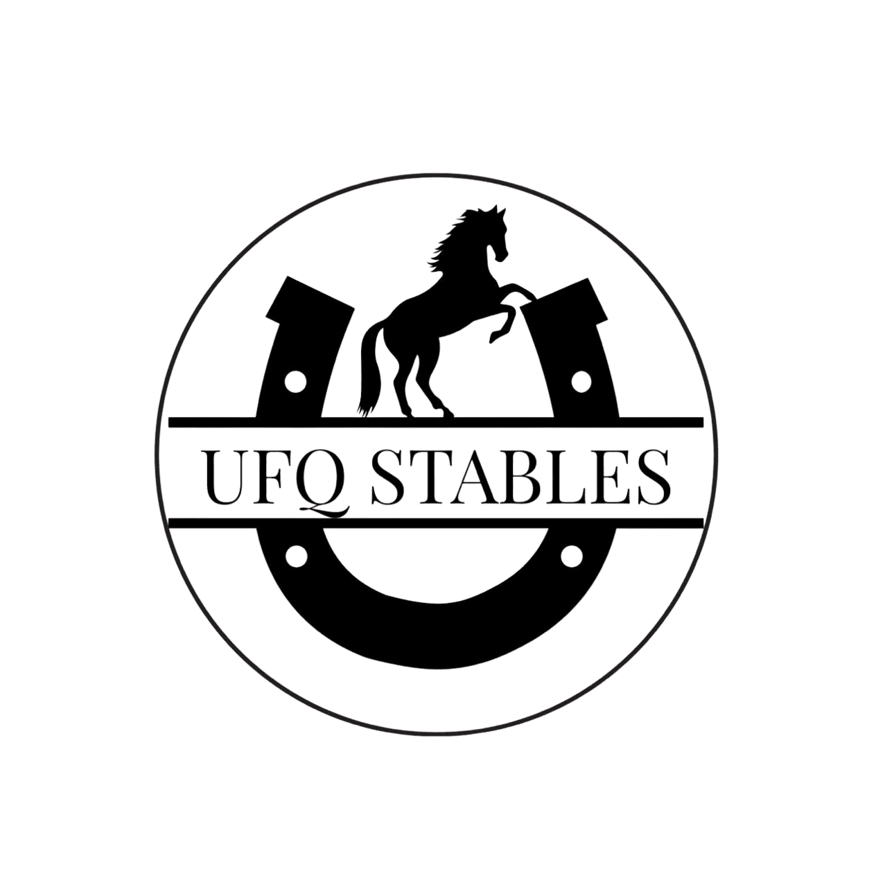 أكاديمية  و اسطبلات أفق الخيل للفروسية